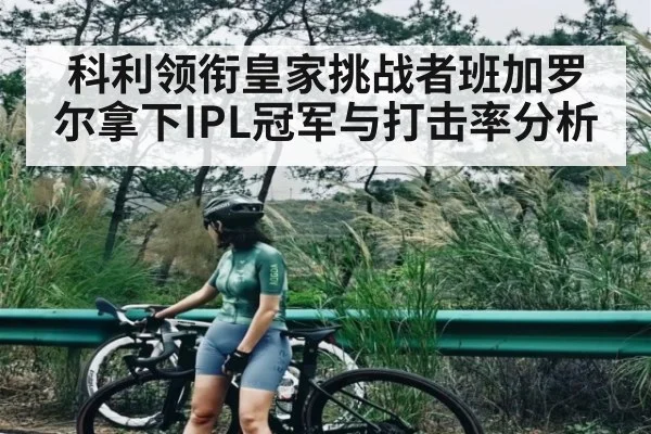 科利领衔皇家挑战者班加罗尔拿下IPL冠军与打击率分析